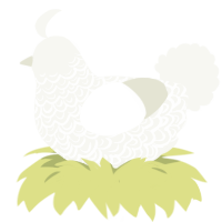 Nevado, a white chicken with a double-lace pattern