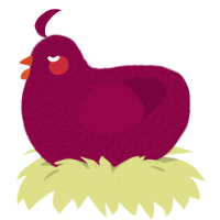 qou lungs, a maroon chicken with a double-lace pattern