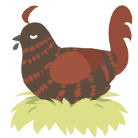 wholemeal turd, a bark and russet chicken with a bar pattern
