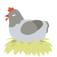 A mist and ash chicken with a head pattern
