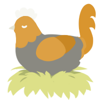 (unnamed), a ash and orange chicken with a head pattern