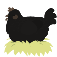 A sable chicken with a half-lace pattern