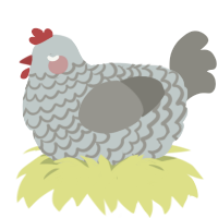 (unnamed), a silver and ash chicken with a lace pattern