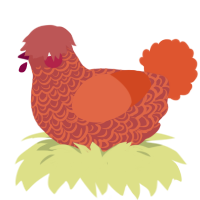 (unnamed), a red and vermilion chicken with a double-lace pattern