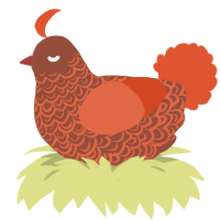 (unnamed), a russet and vermilion chicken with a double-lace pattern