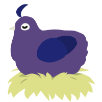 A overcast and navy chicken