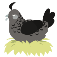 sybil, a grey and sable chicken with a half-lace pattern