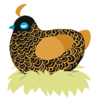 closer, a black and orange chicken with a double-lace pattern
