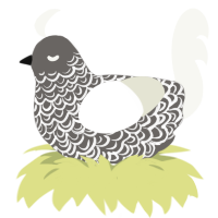 A grey and white chicken with a double-lace pattern