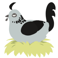 A silver and sable chicken with a neck-speckle pattern