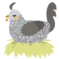 (unnamed), a mist and grey chicken with a double-lace pattern