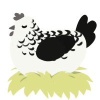 Yoinkidink, a white and black chicken with a half-lace pattern