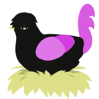 (unnamed), a black and orchid chicken