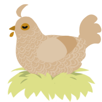 Shelly, a beige chicken with a double-lace pattern