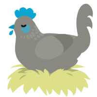 A ash chicken with a neck-speckle pattern