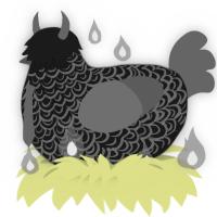 Finality, a sable and grey chicken with a double-lace pattern