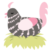 A grey and rose chicken with a bar pattern