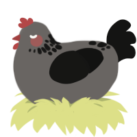A grey and black chicken with a neck-speckle pattern