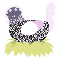 A sable and lavender chicken with a double-lace pattern