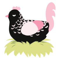 A black and rose chicken with a half-lace pattern