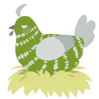 A chartreuse and silver chicken with a bar pattern