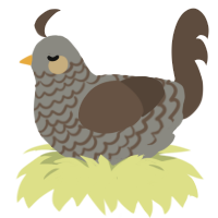 Pinestone, a ash and bark chicken with a lace pattern