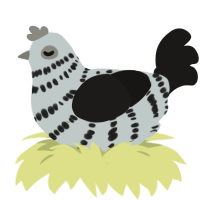 Fallen, a silver and sable chicken with a bar pattern