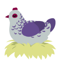 A silver and overcast chicken with a half-lace pattern