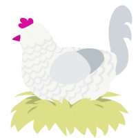A white and mist chicken with a lace pattern