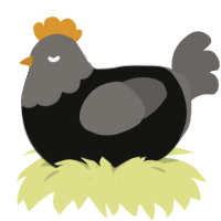 Regular Degular, a black and grey chicken with a head pattern