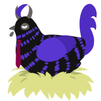 A black and indigo chicken with a bar pattern