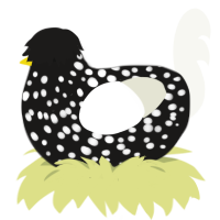 Winter Night, a sable and white chicken with a speckle pattern