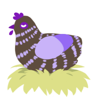 RE, a bark and lilac chicken with a bar pattern