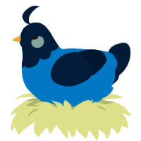 A sapphire and tumblr chicken with a head pattern