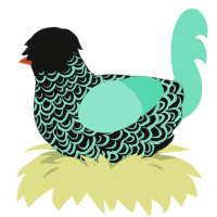 Waow, a black and mint chicken with a double-lace pattern