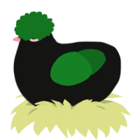 Parrot, a black and leaf chicken