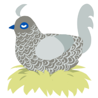 A ash and silver chicken with a double-lace pattern