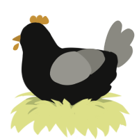 A black and ash chicken