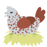 Rusty, a mist and russet chicken with a speckle pattern