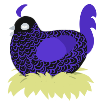 A black and indigo chicken with a double-lace pattern