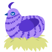 A lilac and indigo chicken with a bar pattern