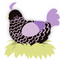 Starlight, a black and lilac chicken with a lace pattern