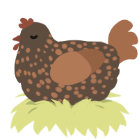 A bark and brown chicken with a speckle pattern