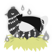 Nyssa, a silver and black chicken with a bar pattern