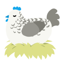 Izumi, a white and ash chicken with a half-lace pattern