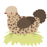 A beige and bark chicken with a speckle pattern