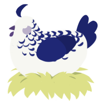 Byakuya, a white and navy chicken with a half-lace pattern