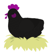 A sable chicken with a lace pattern