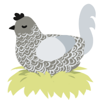 (unnamed), a ash and mist chicken with a double-lace pattern
