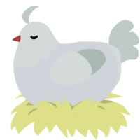 A mist and silver chicken with a head pattern